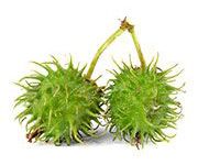 by-cosmetics Zinc Ricinoleate