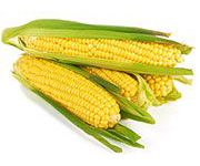 by-cosmetics Cornstarch