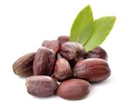 by-cosmetics Simmondsia Chinensis Jojoba