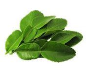 by-cosmetics Kaffir Lime