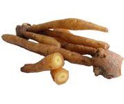 by-cosmetics Kaemferia Galanga (Lesser Galangal) Root