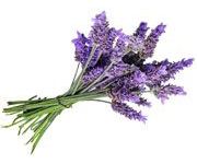 by-cosmetics Lavander