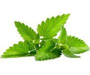 by-cosmetics Peppermint