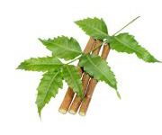 by-cosmetics масло ним