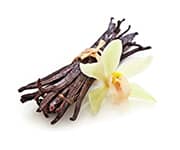 by-cosmetics Vanilla