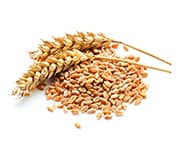 by-cosmetics Hydrolyzed Wheat Protein