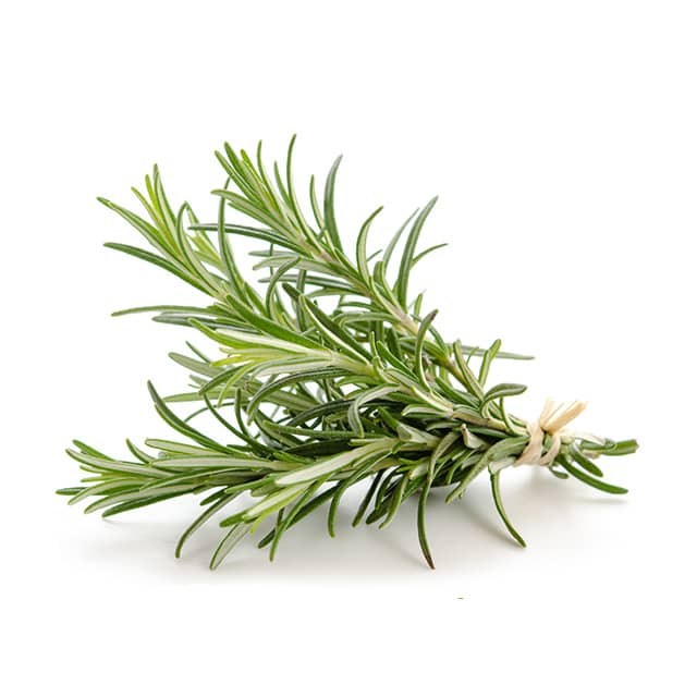 rosemary